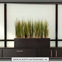 balcony met gras zonder pluim